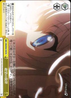 CHA/W40-T09 絶望の旋律