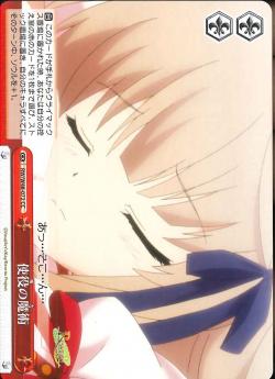 RW/W48-072 使役の魔術
