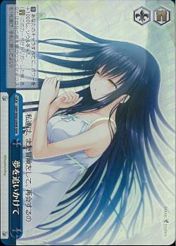 SMP/W60-099R 夢を追いかけて