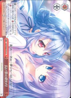 SMP/W60-074 長い夢の終わり