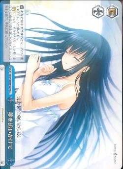 SMP/W60-099 夢を追いかけて