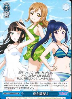 LSS/W69-096A 夏を満喫♪