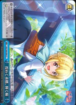 RSL/S69-099 煌めく水槽、輝く瞳
