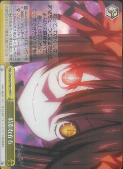 DAL/W79-024R 特別な存在