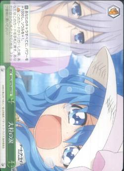DAL/W79-050 大粒の涙