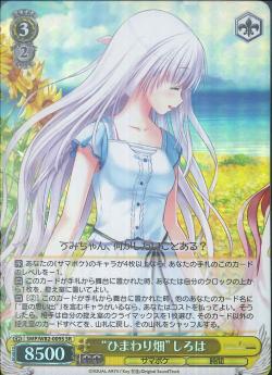 SMP/W82-009S “ひまわり畑” しろは