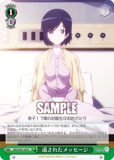 DBG/W87-046 遺されたメッセージ