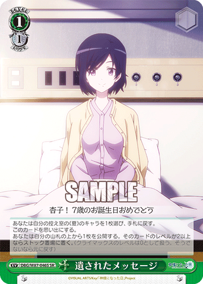 DBG/W87-046S 遺されたメッセージ