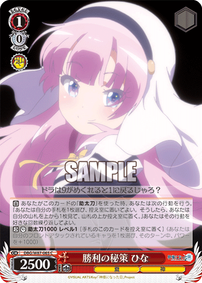 DBG/W87-065 勝利の秘策 ひな