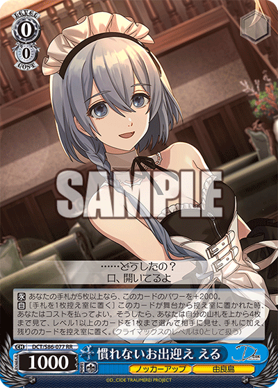 DCT/S86-077 慣れないお出迎え える