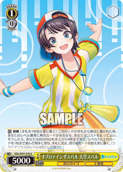 HOL/W91-016 #プロテインザスバル 大空スバル