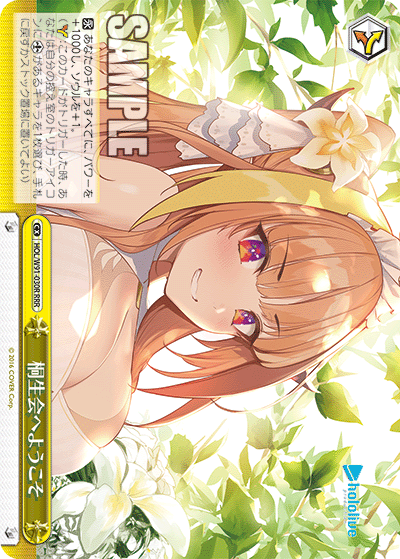 HOL/W91-030R 桐生会へようこそ