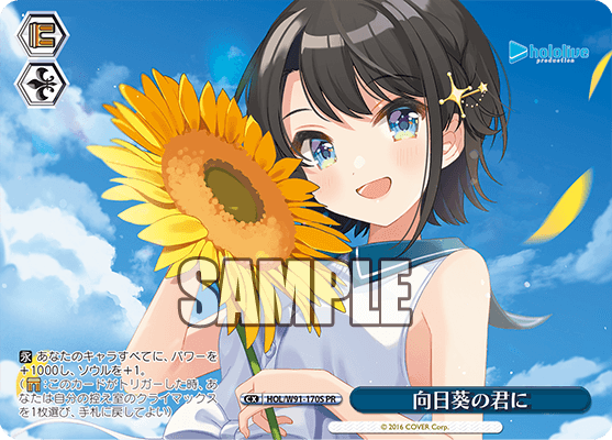 HOL/W91-170S 向日葵の君に