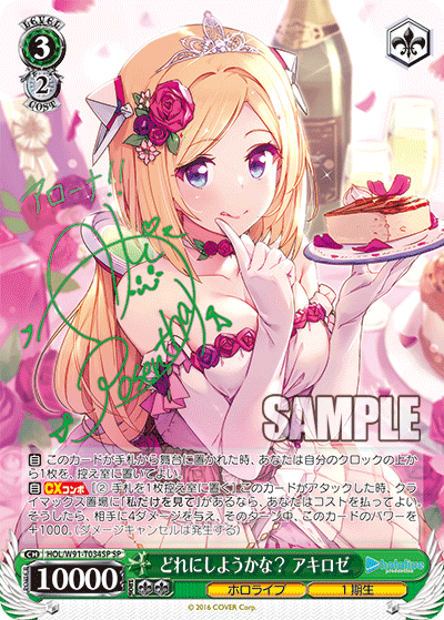 HOL/W91-T034SP どれにしようかな? アキロゼ