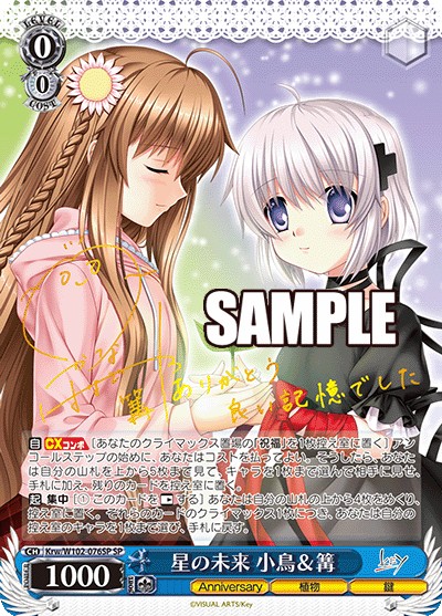 Krw/W102-076SP 星の未来 小鳥&篝