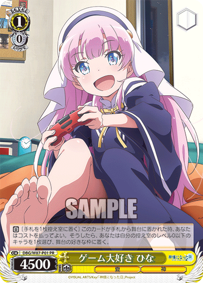 DBG/W87-P01 ゲーム大好き ひな