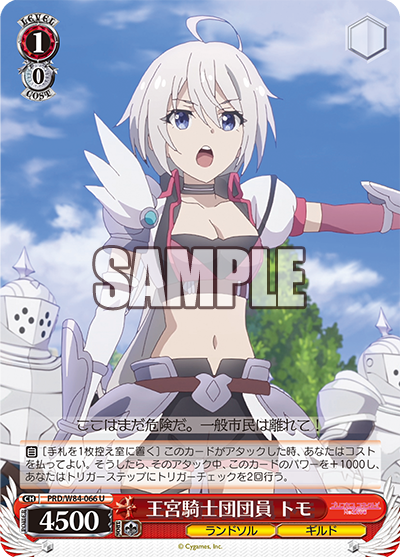 PRD/W84-066 王宮騎士団団員 トモ