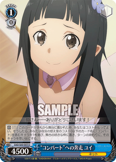 SAO/S80-085 “コンバート”への奔走 ユイ