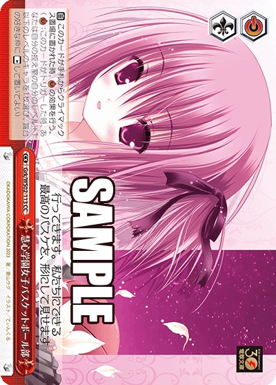 Grk/WS02-113  慧心学園女子バスケットボール部