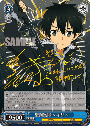 SAO/SE26-29SP 聖剣獲得へ キリト