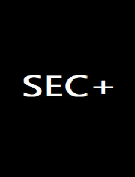 SEC+ – Sleever Queen