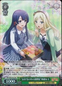 RSL/S69-041S    “お弁当の中の満開桜”珠緒&文