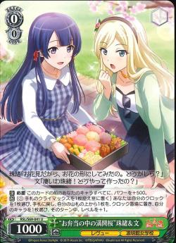 RSL/S69-041    “お弁当の中の満開桜”珠緒&文