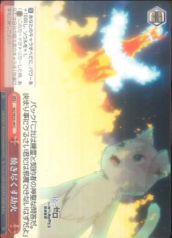 RZ/SE35-49    焼き尽くす劫火