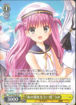 SMP/W82-004    “あの夏をもう一度” うみ