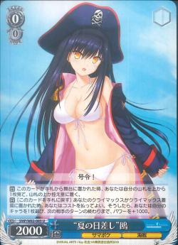 SMP/W82-085    “夏の日差し” 鴎