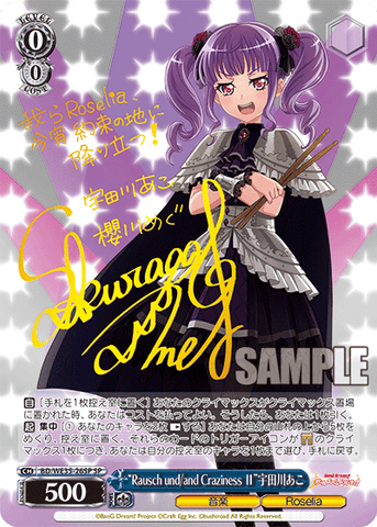 BanG Dream! Poppin'Party à Roselia Extra Booster (WE35) â Sleever BanG Dream! Poppin'Party à Roselia Extra Booster (WE35) â Sleever