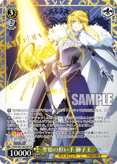 【PSA10】聖槍の担い手 獅子王 SP 英語版 fate PSA10】聖槍の担い手 獅子王 SP 英語版 fate Amazon.co.jp