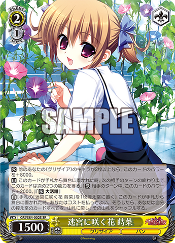GRI/S84-002S    迷宮に咲く花 蒔菜