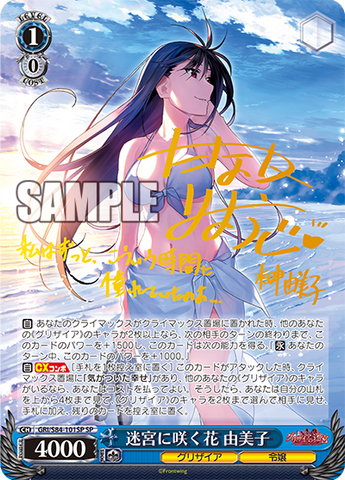 迷宮に咲く花一姫 SP PSA10 迷宮に咲く花一姫SP PSA10 迷宮に咲く花一姫 SP PSA10 迷宮に咲く花一姫SP PSA10