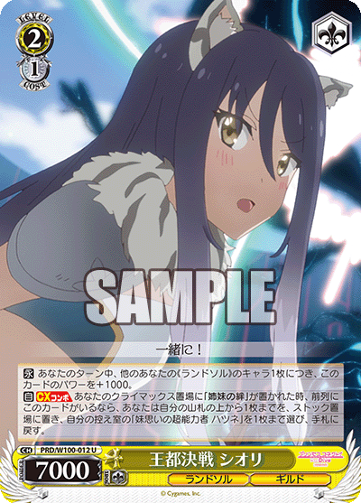 PRD/W100-012  王都決戦 シオリ