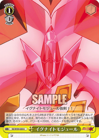 SG/W39-020    イグナイトモジュール